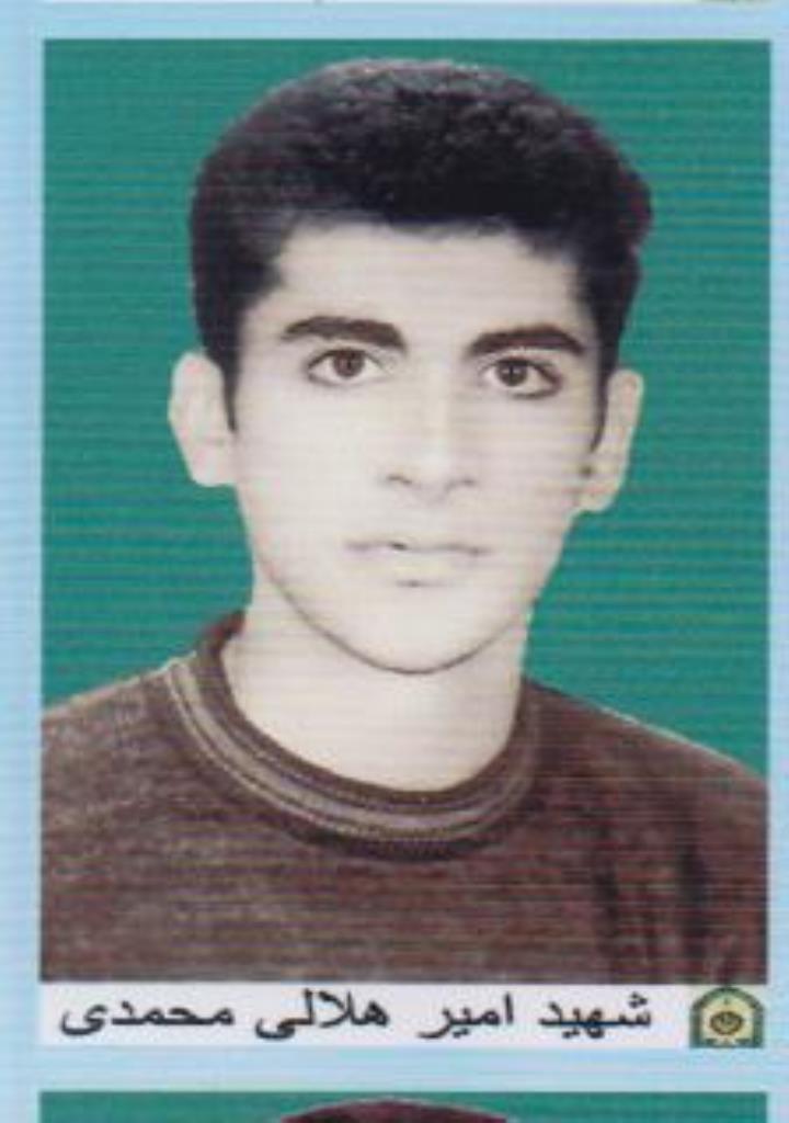 فاقد تصویر